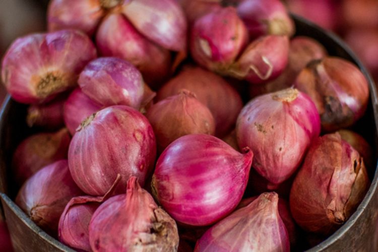 Ilustrasi bawang merah. 