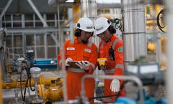 Tingkatkan Utilisasi Gas Sektor Kelistrikan, PLN Gandeng PGN