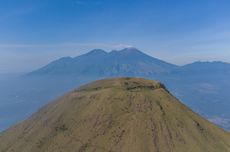 [HOAKS] Burung Garuda Muncul di Hutan Gunung Penanggungan, Jawa Timur