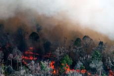 El Nino Sebabkan Amazon dan Hutan Tropis di Indonesia Alami Kekeringan