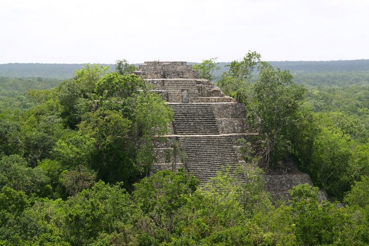 Calakmul salah satu kota Maya