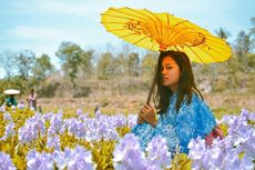 Kalinampu Natural Park, Wisata Selfie di Yogyakarta Berkonsep Jepang