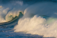 Sensatia Tutup 2025 dengan Transformasi Brand dan Komitmen Clean Beauty