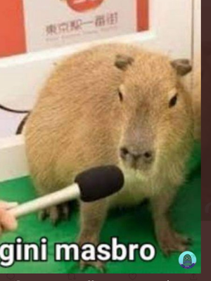Tangkapan layar unggahan soal hewan capybara yang disebut masbro oleh warganet.
