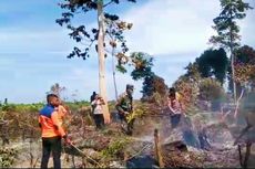 Karhutla di Rohul Riau Diduga Disengaja untuk Buka Lahan, Polisi Pasang Garis Polisi
