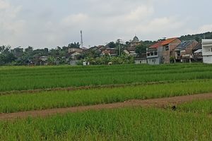 Kisah Petani di Semarang, Terpaksa Menjadi Buruh Bangunan karena Padi Dibeli Murah