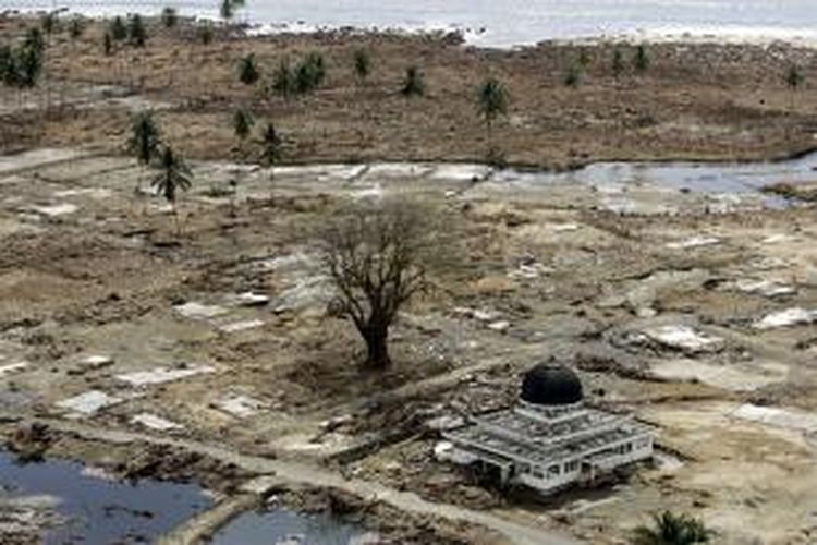 Foto masjid yang menjadi satu-satunya bangunan utuh di wilayah Meulaboh yang diambil pada 2 Januari 2005, menjadi salah satu foto yang paling diingat Eugene Hoshiko, fotografer Associated Press yang meliput tsunami Aceh. Tsunami meluluhlantakkan Aceh pada 26 Desember 2004