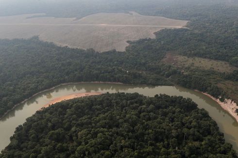 Jaringan Kota Kuno Ditemukan di Amazon, Diperkirakan Lebih Besar dari Peradaban Suku Maya