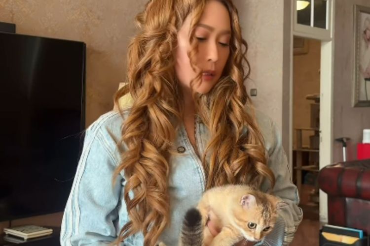 Dua Kucingnya yang Hilang Berhasil Ditemukan, Inul Daratista Ungkap Peran Animal Communicator