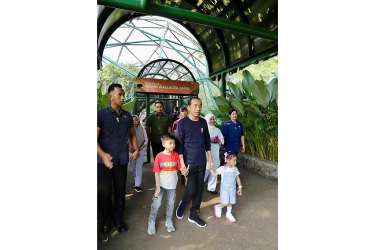 Presiden Joko Widodo (Jokowi) bersama sang istri, Iriana, mengajak dua cucunya, yakni Jan Ethes Srinarendra dan La Lembah Manah menikmati akhir pekan dengan mengunjungi Taman Mini Indonesia Indah (TMII), Jakarta, Sabtu (8/6/2024). 