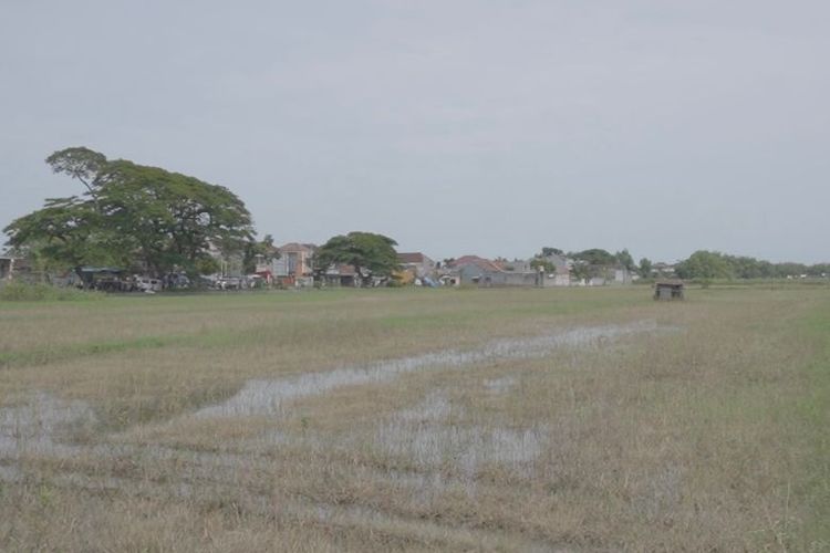 Lokasi pembangunan Kantor Imigrasi Kelas I TPI Blora. 
