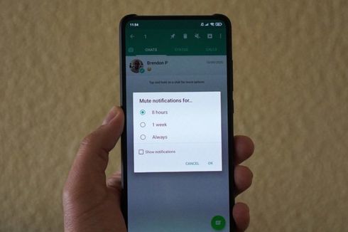 Ada Fitur Mute Selamanya di WhatsApp, Mengapa Tidak Left Group Saja?