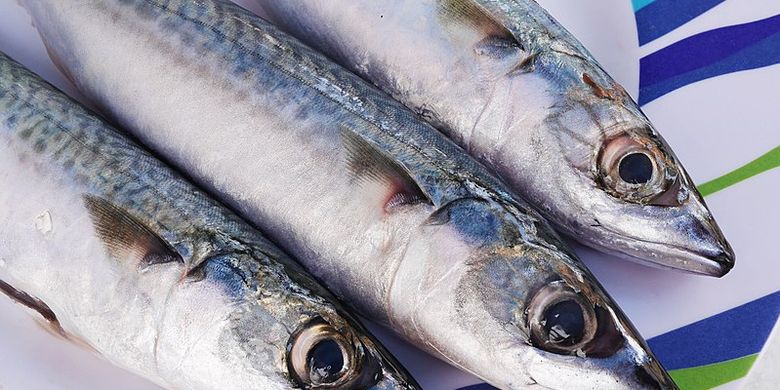 Ada Parasit Cacing Di Produk Ikan Makerel Bpom Minta Masyarakat Tak Khawatir