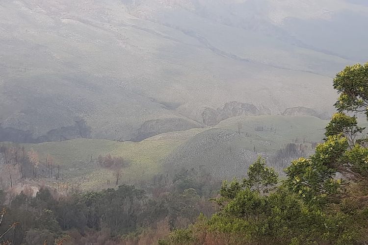 Padang savana Bromo saat ini sudah menghijau dan memanjakan wisatawan yang berkunjung