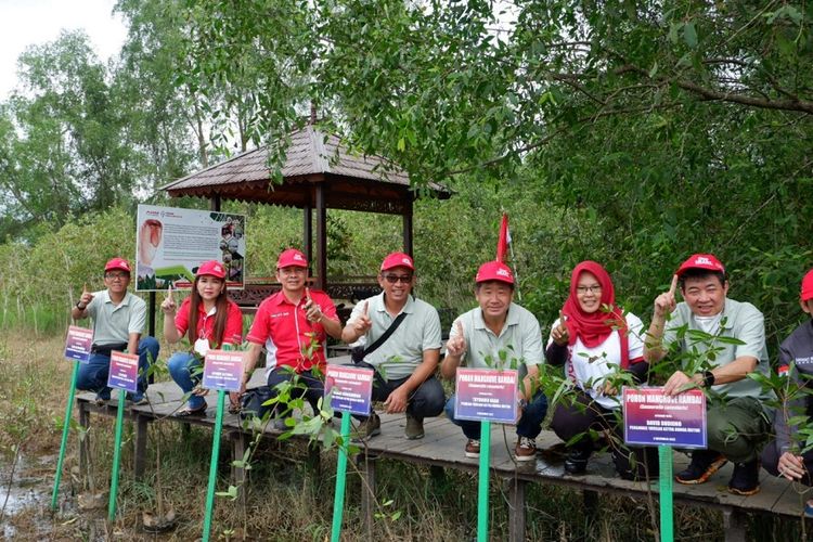 Yayasan Astra Honda Motor (Yayasan AHM) melakukan penanaman 1.000 pohon mangrove rambai di Kawasan Stasiun Riset Bekantan - Pulau Curiak, Kabupaten Barito Kuala, Kalimantan Selatan (8/12/2022).