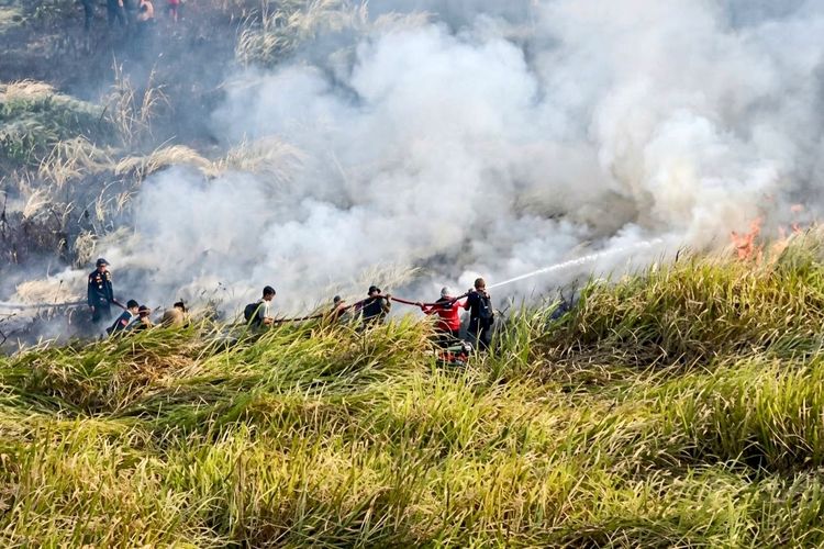 Api Sulit Dipadamkan di TN Way Kambas, Petugas Butuh Selang Khusus seperti di Kalimantan