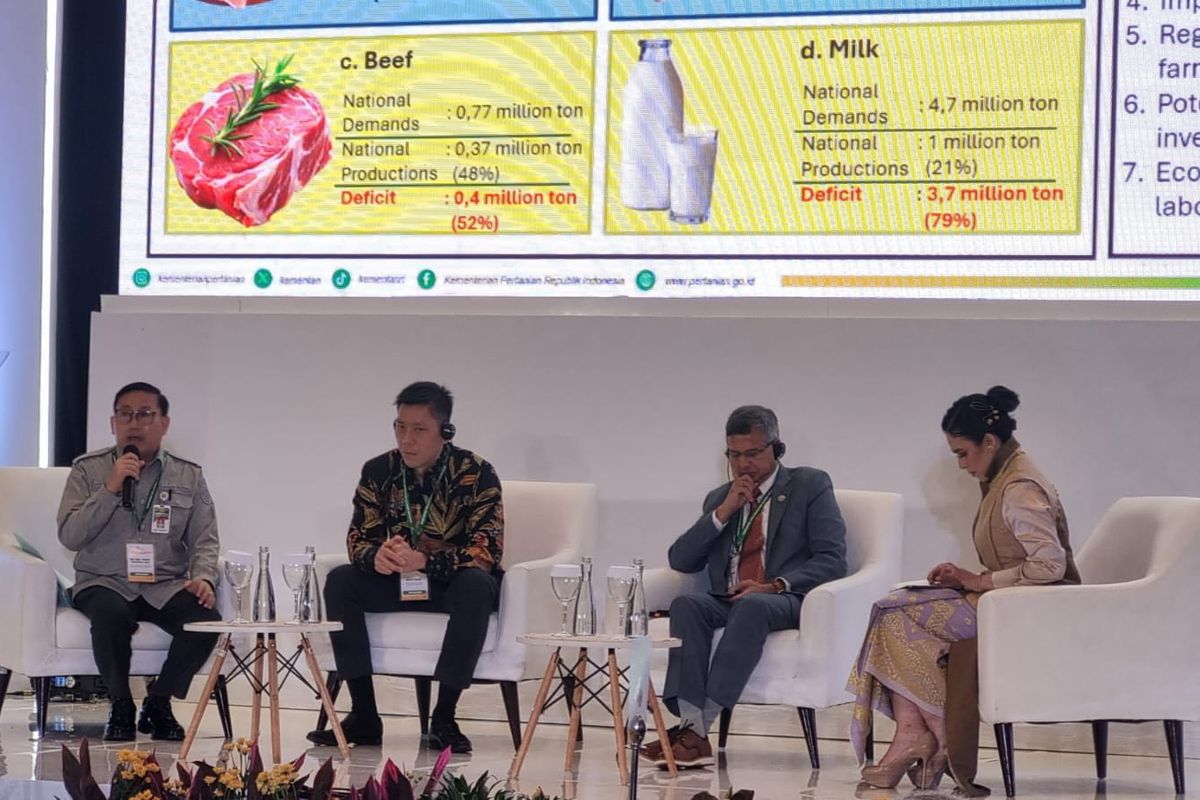 Anggaran Makan Bergizi Gratis Dipangkas Jadi Rp 10.000, Telur dan Daging Ayam Bisa Jadi Solusi