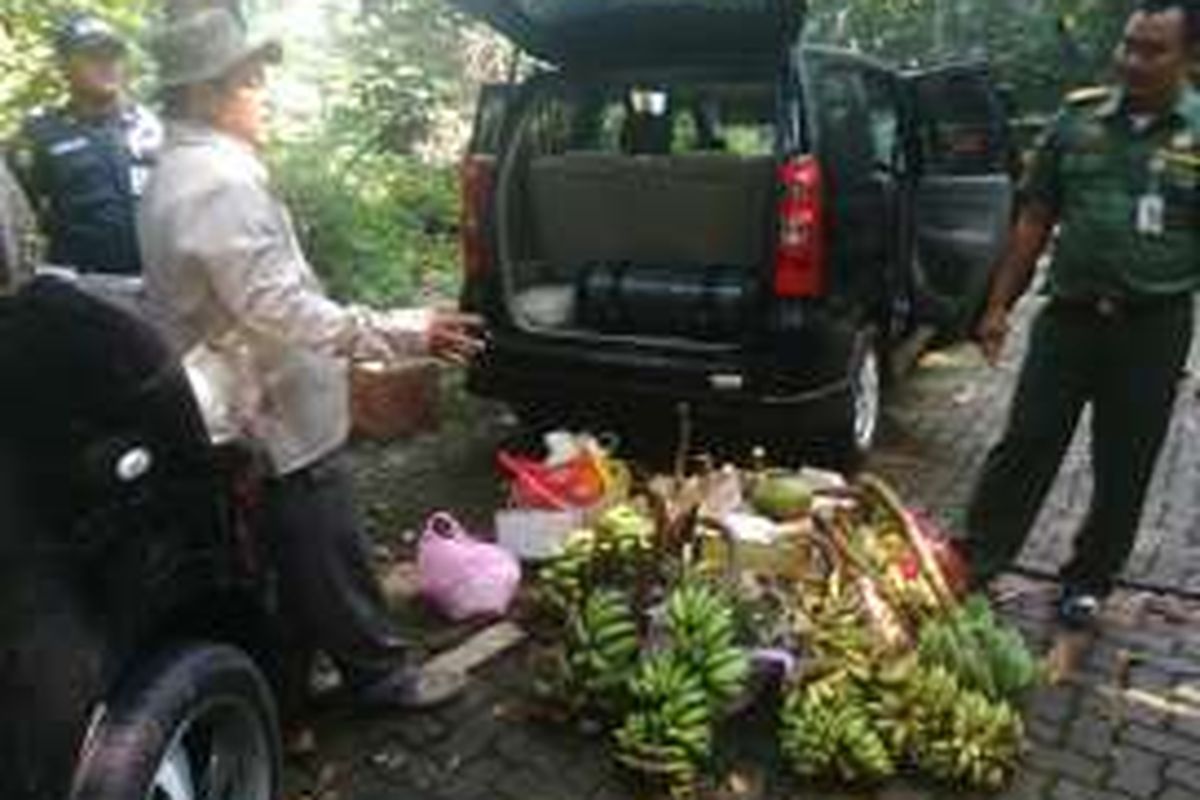 Petugas menyiapkan buah-buahan untuk memberi makan kelompok monyet yang berhabitat di kawasan Jambore Cibubur, Jakarta Timur. Upaya ini dilakukan setelah ada penyerangan kepada tiga warga pengunjung Jambore. Jumat (12/8/2016)