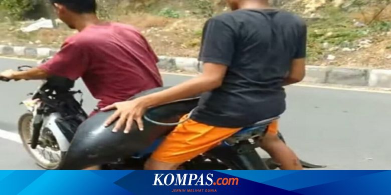 Terdampar, Paus Kepala Melon Dipotong-potong dan Dagingnya Dibagikan ke Warga, Polisi Turun Tangan - Vimarsana News