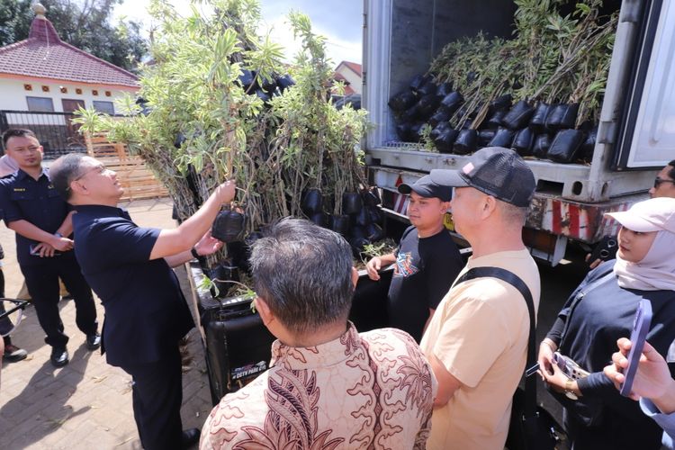 Kegiatan pelepasan ekspor tanaman hias di Rest Area Desa Sidomulyo, Kota Batu, Jawa Timur pada Senin (3/6/2024). 