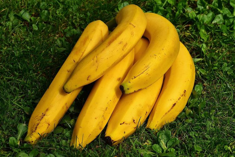 Ilustrasi pisang tanduk