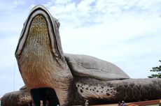 Berinteraksi dengan Biota Laut di Kura-kura Ocean Park Jepara