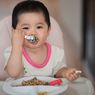Cegah Stunting, Protein Hewani Harus Ada dalam MPASI