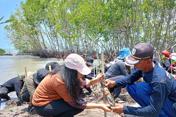 Persiapan menanam mangrove di Pulau Burung, Subang.