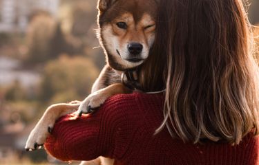 Xnxxmanusia Ngentot Sama Hewan - Ketahui, Perbandingan Umur Anjing dengan Manusia Halaman all - Kompas.com