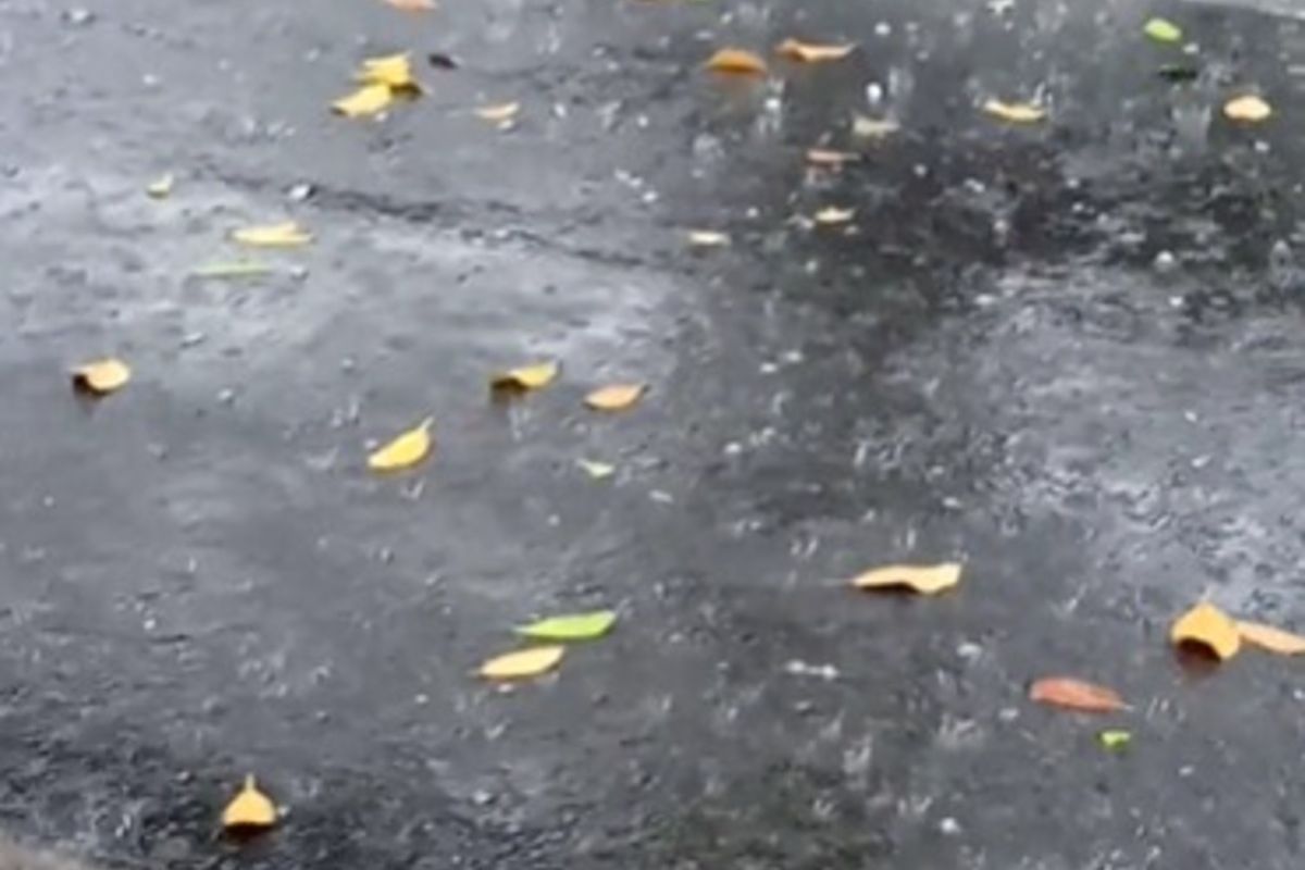 Hujan es di wilayah Nganjuk, Foto: Istimewa