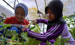 Hari Anak Nasional 2025, Pertamina Dukung Pengembangan Anak lewat Program CID 