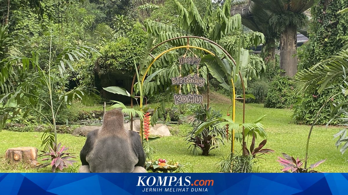 Harga Tiket Masuk Ragunan Saat Libur Sekolah 2026 dan Cara Belinya