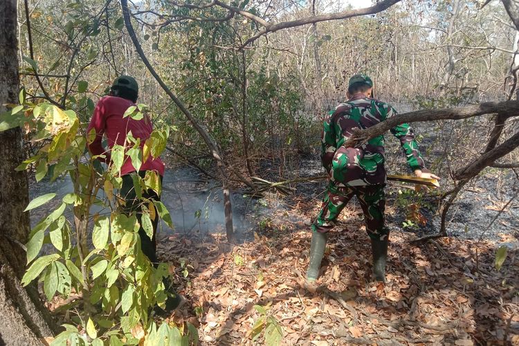Karhutla di Taman Nasional Baluran Mencapai 2.207 Hektar