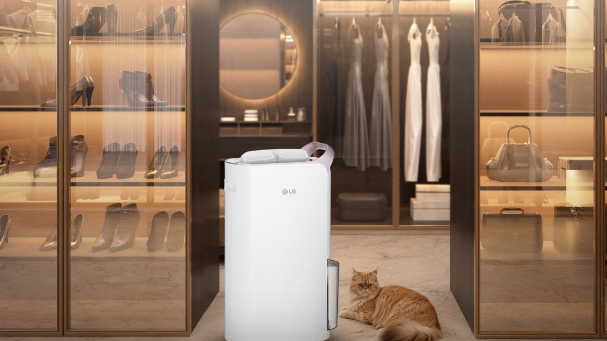 Ini Cara Memilih Dehumidifier untuk Atasi Jamur, Bau Apek, dan Udara Lembap di Rumah