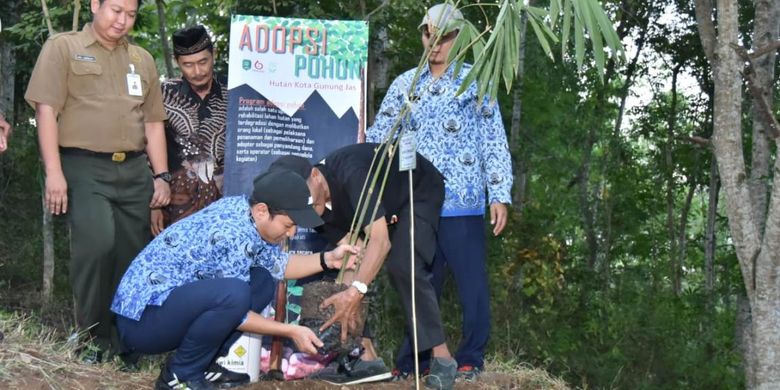 Ratusan Hektare Hutan Trenggalek Akan Ditanami Bambu Halaman All