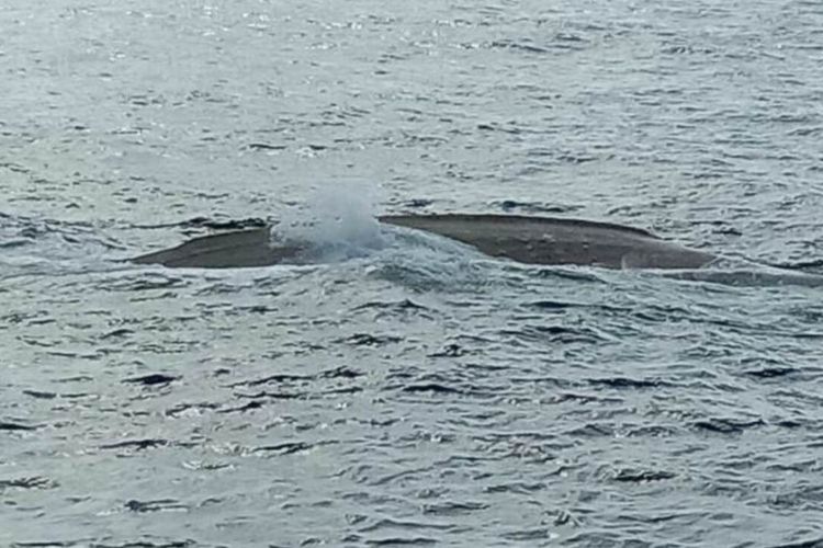 Bangkai kapal nelayan KM Sanjaya 33 yang temgelam di peraiaran Laut Aru Maluku ditemukan, Senin (16/3/2020) di peraiaran tersebut