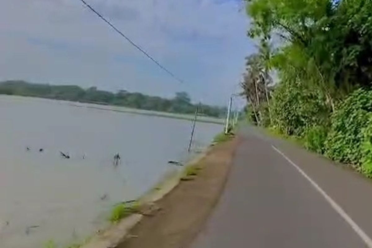 Ratusan Hektar Sawah di Bantul Terendam, Penanaman Ulang Disiapkan