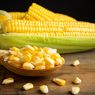 Kandungan Kimia Jagung dan Manfaatnya