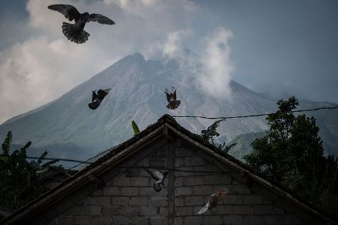 Kondisi Terkini Gunung Merapi, Titik Longsoran Baru dan Intensitas Gempa Guguran