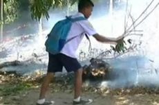 Kobaran Api Hanguskan Belasan Hektar Hutan di Pulau Battoa