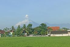 Bupati Lumajang Sebut Hari Kedua Erupsi Gunung Semeru Relatif Lebih Aman 