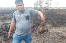 Usut Kebakaran Lahan di Tanjung Jabung Jambi, Polisi Ambil Sampel Tanah