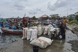 Menyelam di Air Limbah demi Panen Kerang Hijau, Nelayan Cilincing: Kepala Pusing, Dada Sesak