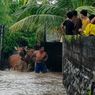 Banjir Terjang Buleleng, Warga Selamatkan Ternak ke Tempat Aman