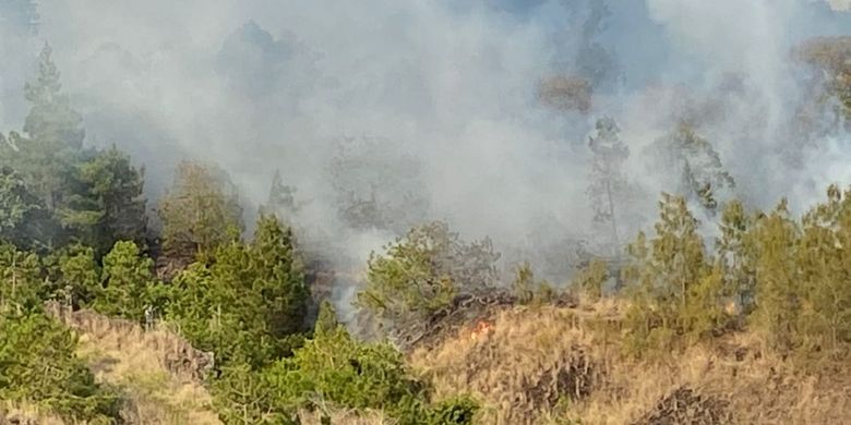 Kebakaran hutan di Taman Wisata Alam Gunung Batur Bukit Payang (TWAGBBP) Kecamatan Kintamani, Kabupaten Bangli terbakar sejak Jumat (22/10/2021)