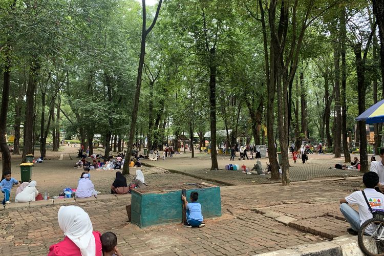 Suasana Taman Margasatwa Ragunan, Jakarta Selatan pada Rabu (22/10/2025).