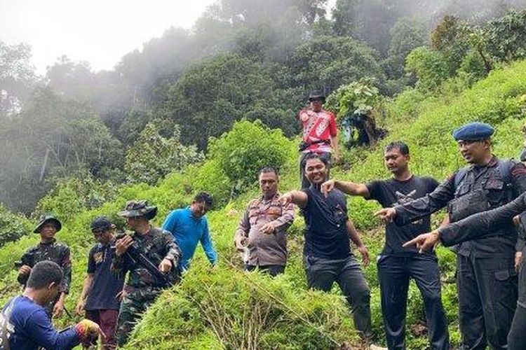 Anggota Polri bersama TNI dan BNN menemukan ladang ganja siap panen seluas 1 hektar di Tor Sihite, Desa Pardomuan, Kecamatan Panyabungan Timur, Kabupaten Mandailing Natal (Madina), Sumut, Selasa (14/11/2023). 