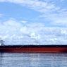 Kronologi dan Penyebab Kapal Pertamina Dicegat Greenpeace di Denmark