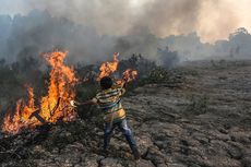 Lebih dari 5.000 Titik Api Masih Terdeteksi di Sumatera dan Kalimantan