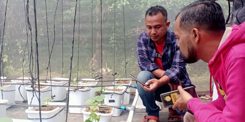 Rakhmat Hardiyanto (38) menggunakan teknologi pertanian yang diyakininya dapat meningkatkan produktivitas jambu kristal